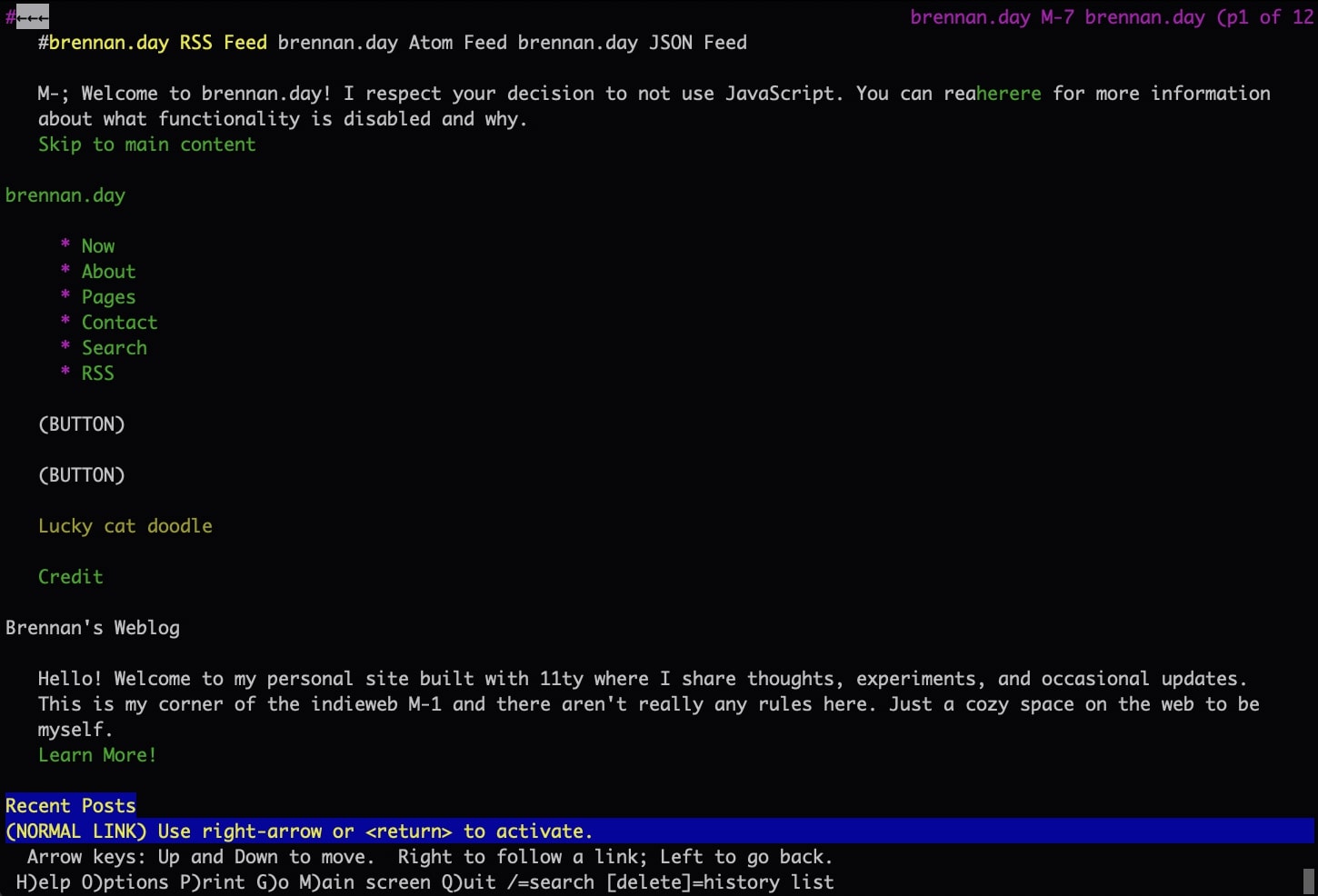 A terminal window showing the Lynx web browser displaying a text-only version of a website, with ASCII art and links numbered for keyboard navigation.