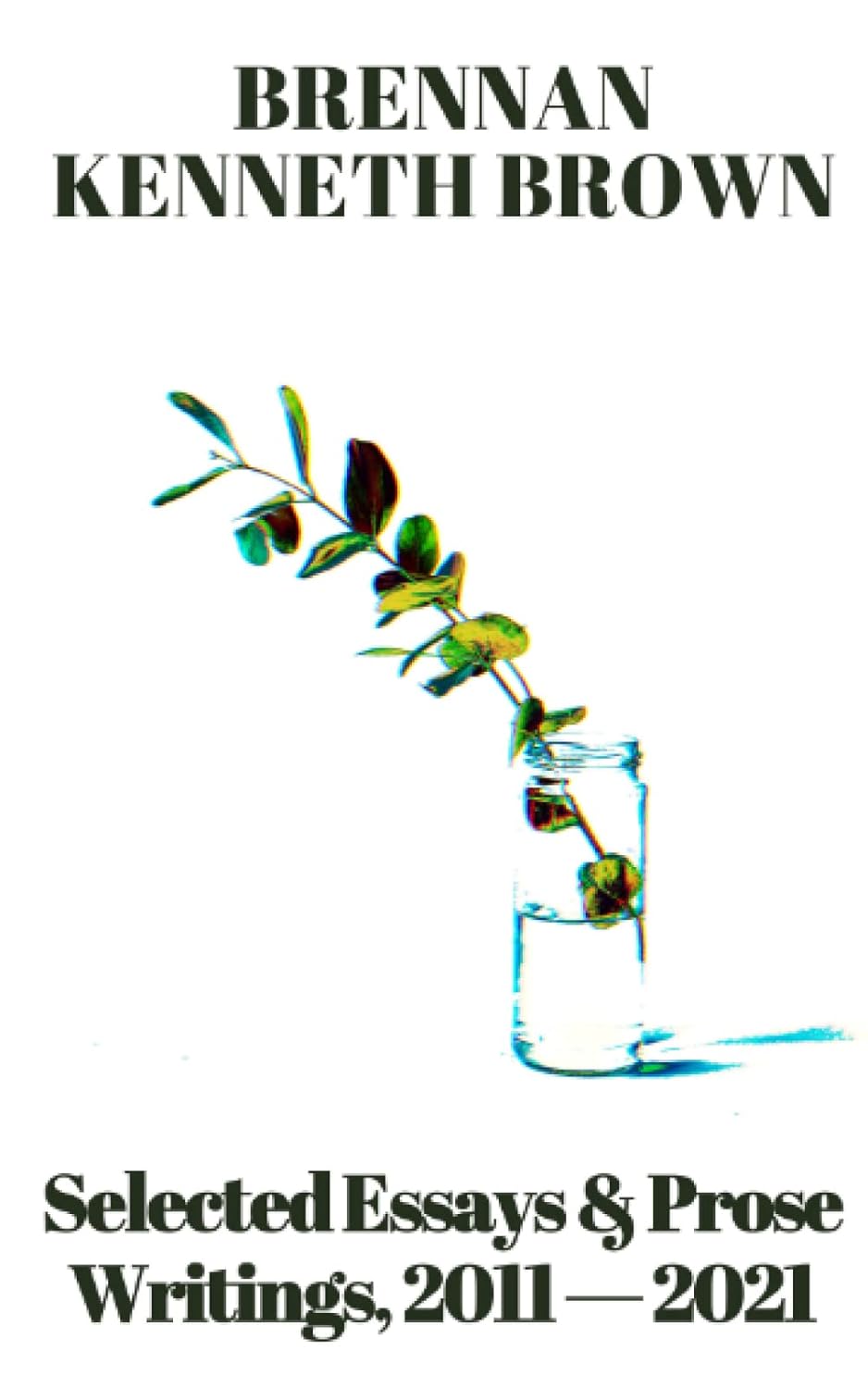 Cover of Selected Essays & Prose